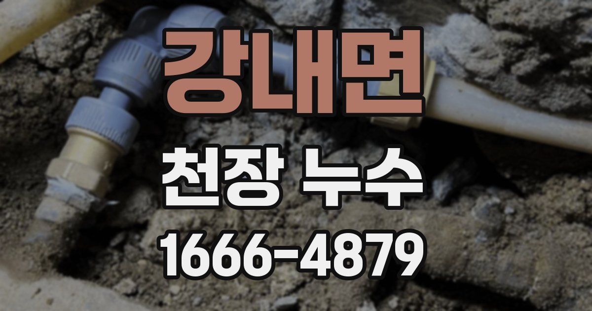 강내면 천장 누수