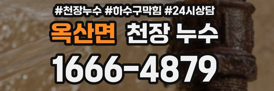 옥산면 천장 누수