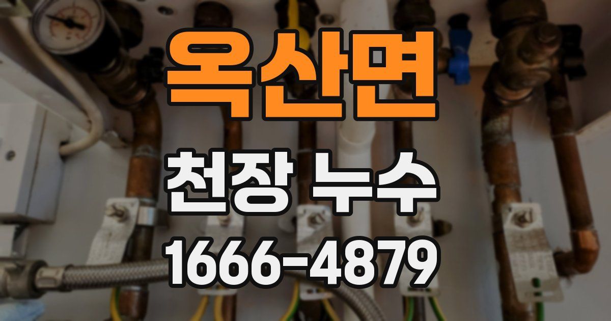 옥산면 천장 누수