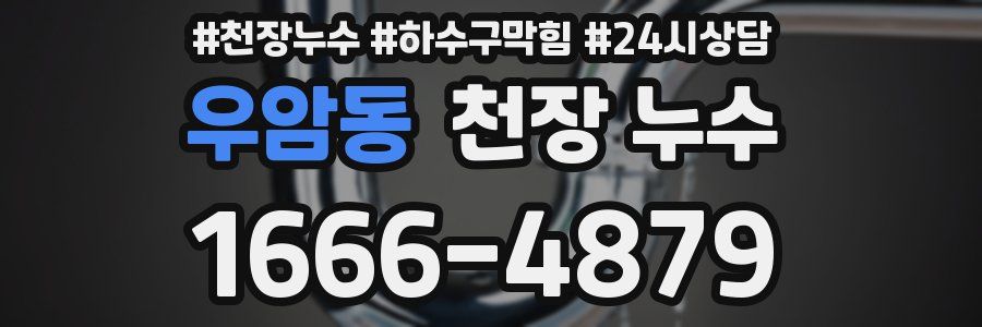 우암동 천장 누수