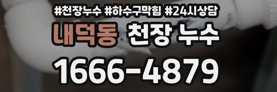 내덕동 천장 누수