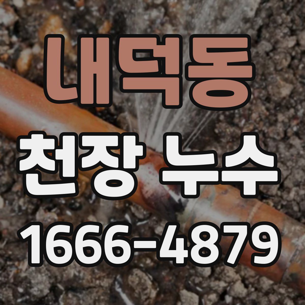 내덕동 천장 누수