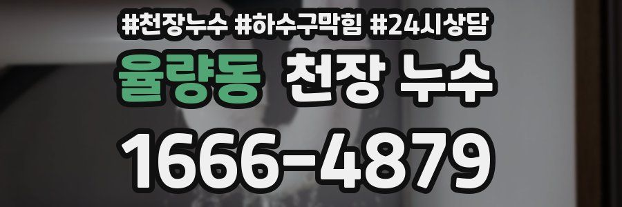 율량동 천장 누수