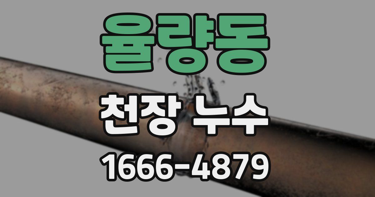 율량동 천장 누수