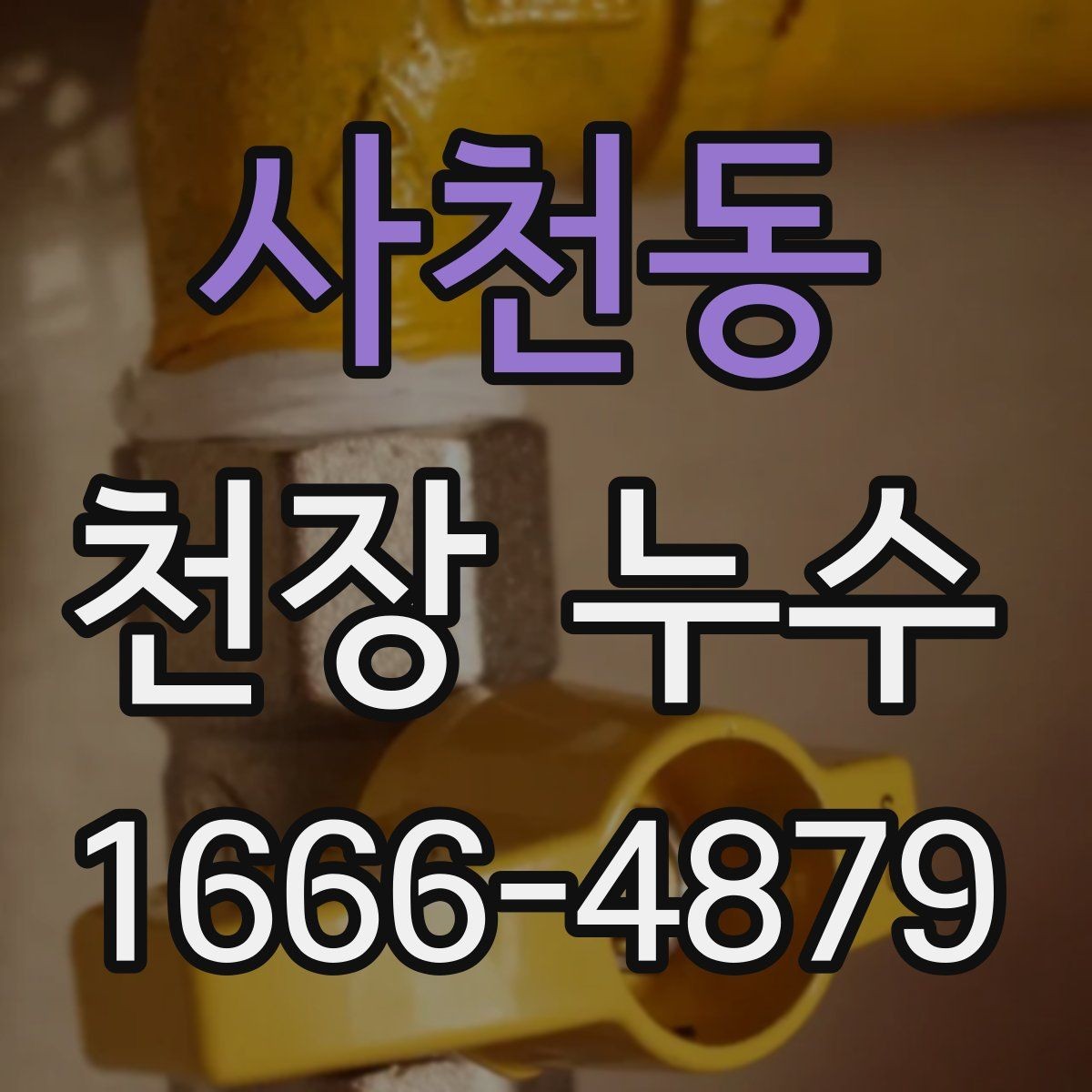 사천동 천장 누수 후 제대로 건조하지 않으면 생기는 문제