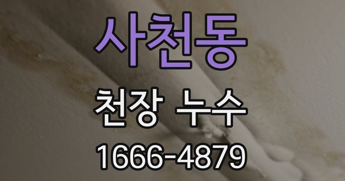 사천동 천장 누수