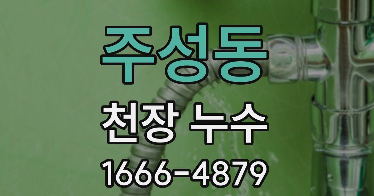주성동 천장 누수