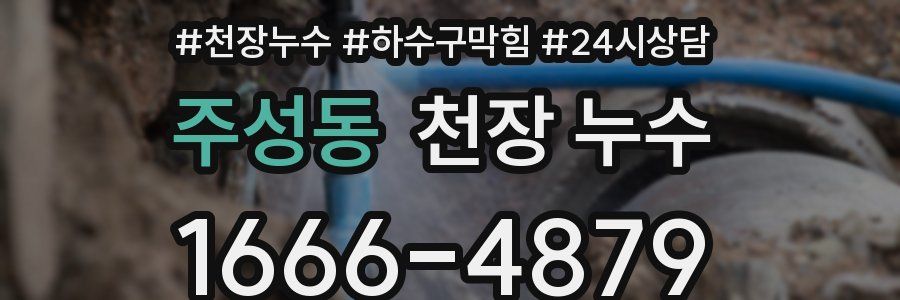 주성동 천장 누수