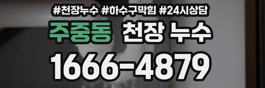 주중동 천장 누수