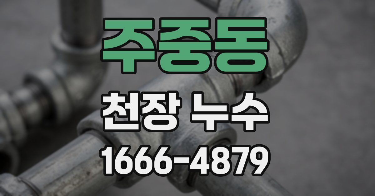 주중동 천장 누수