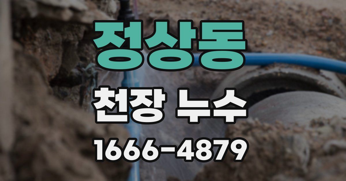 정상동 천장 누수