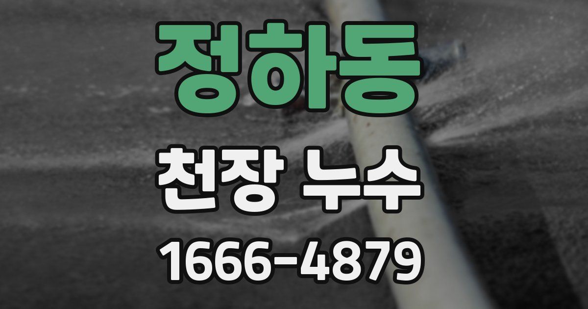 정하동 천장 누수