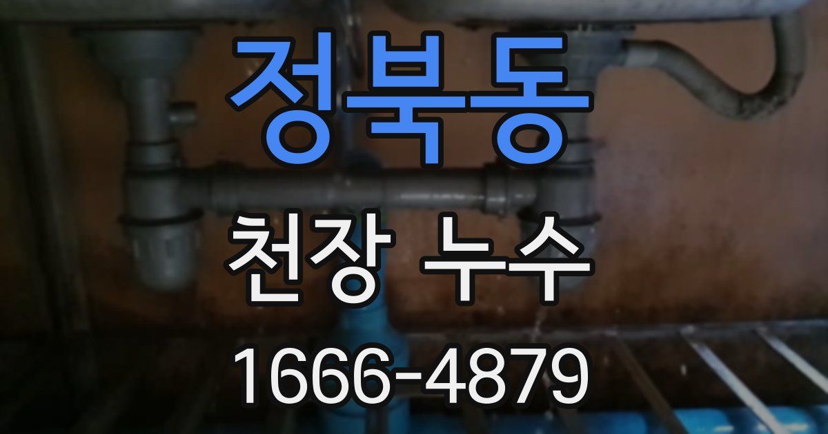 정북동 천장 누수