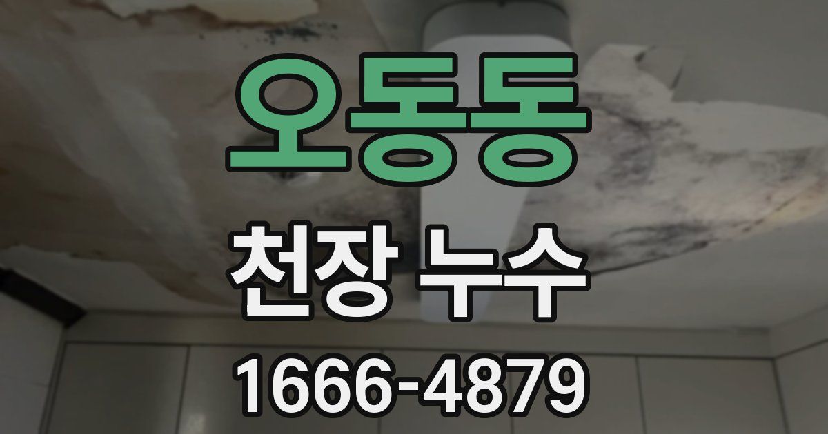 오동동 천장 누수
