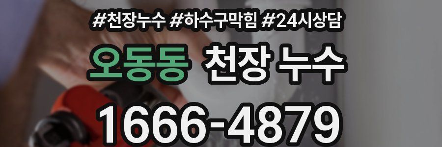 오동동 천장 누수