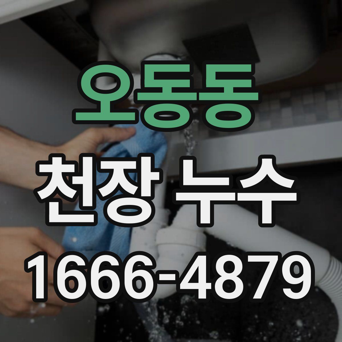 오동동 천장 누수