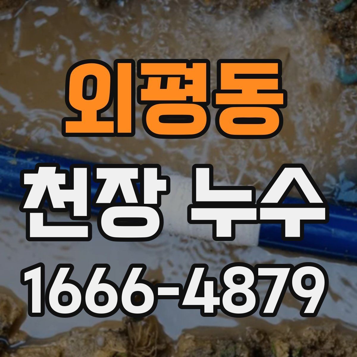 외평동 천장 누수 얼룩이 동그랗게 번지면 확인해야 할 원인