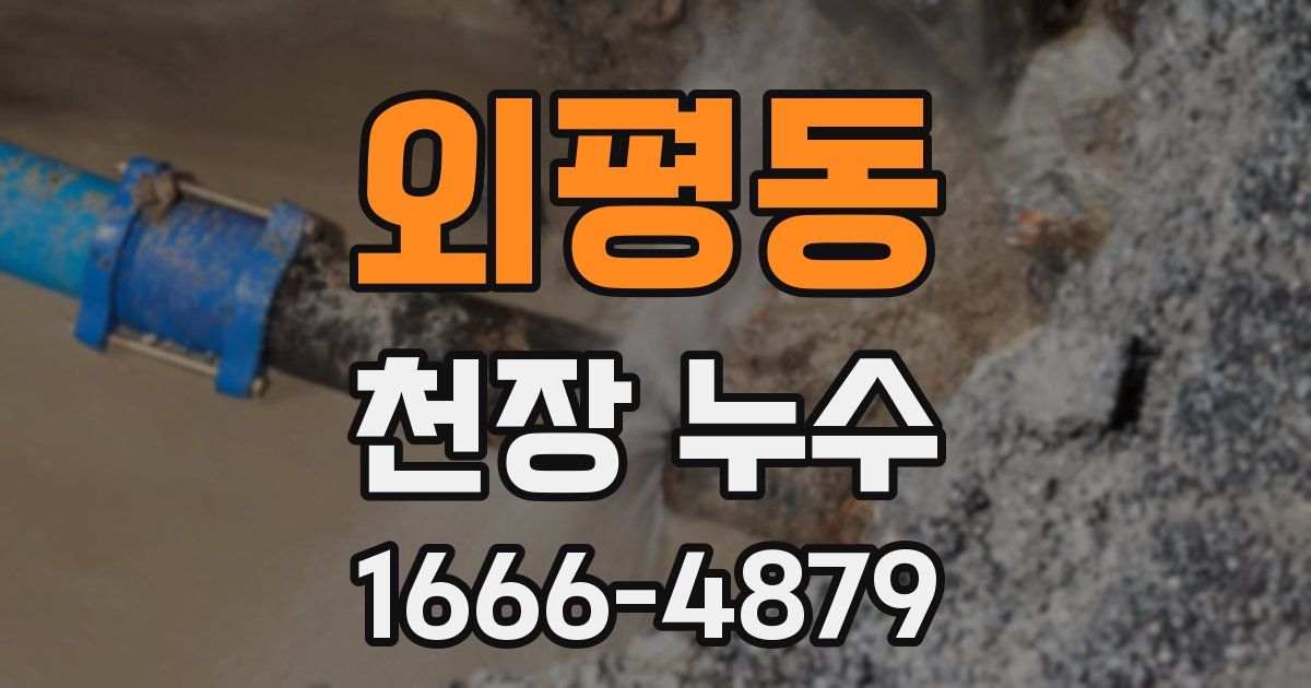 외평동 천장 누수
