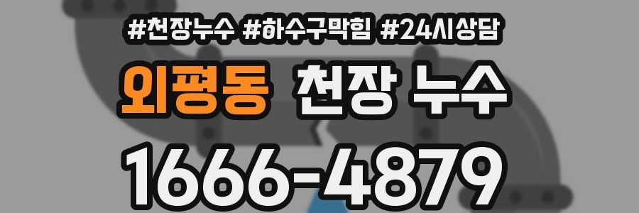 외평동 천장 누수