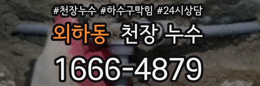 외하동 천장 누수