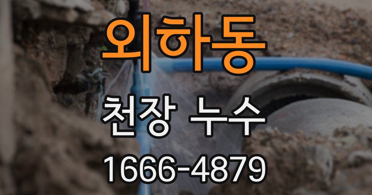 외하동 천장 누수