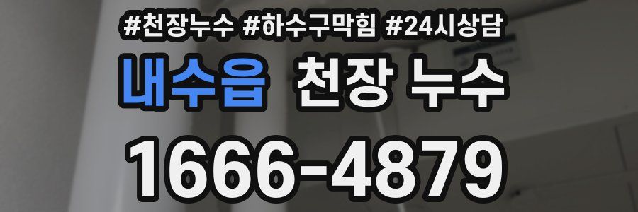 내수읍 천장 누수