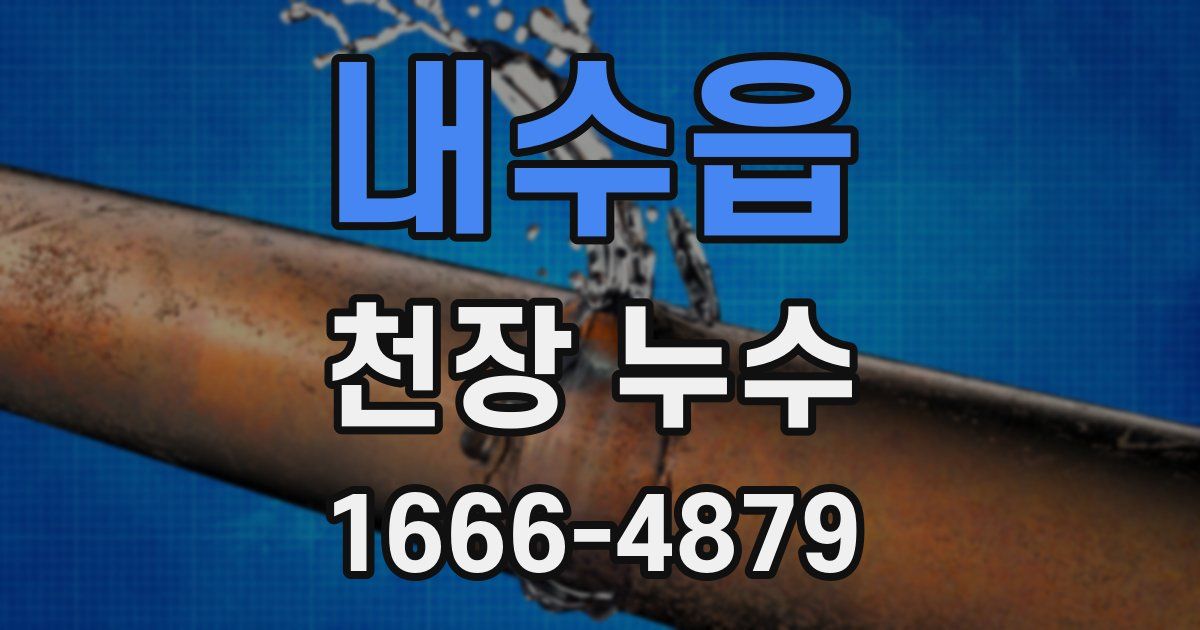 내수읍 천장 누수