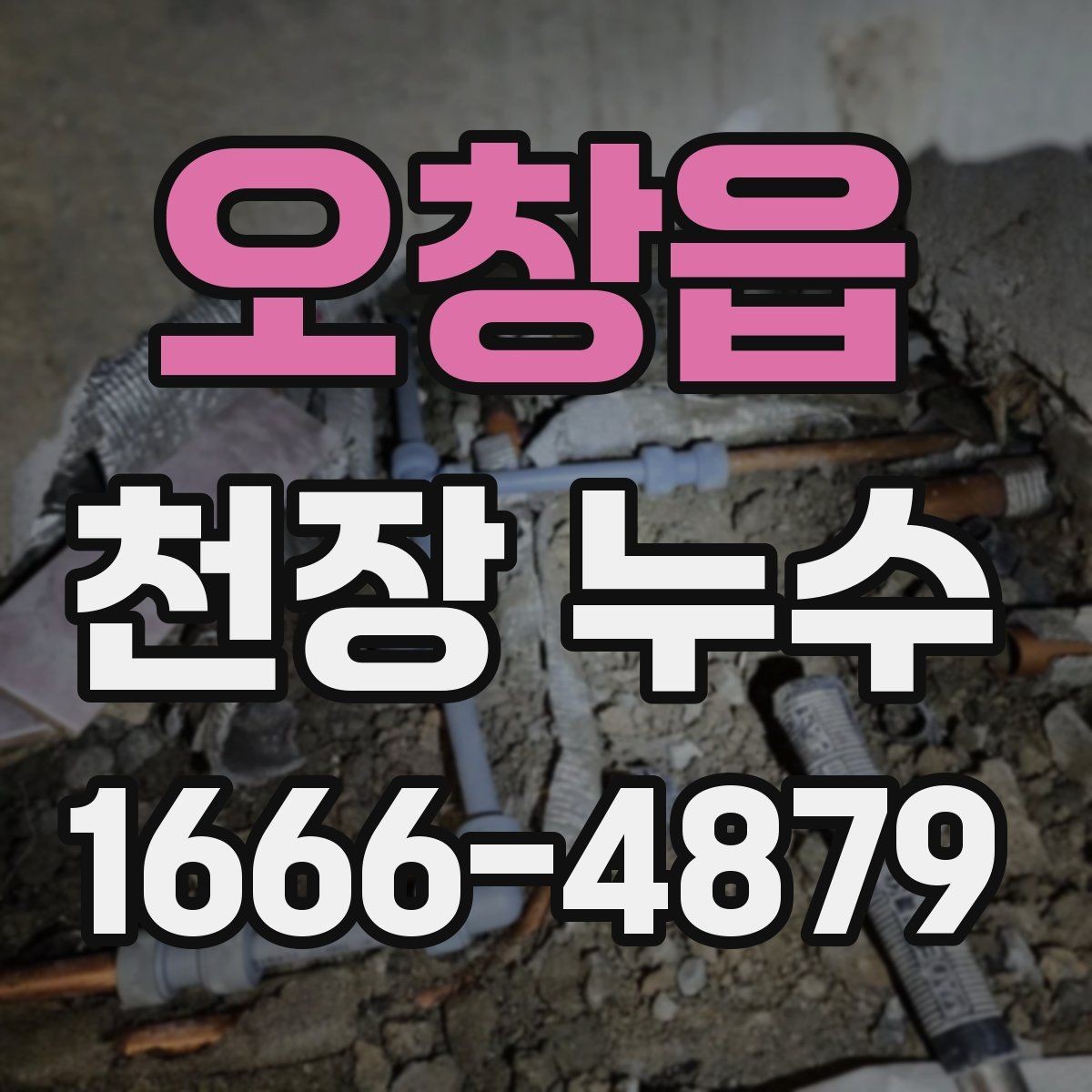 오창읍 천장 누수 피해가 커지기 전 빠른 대응