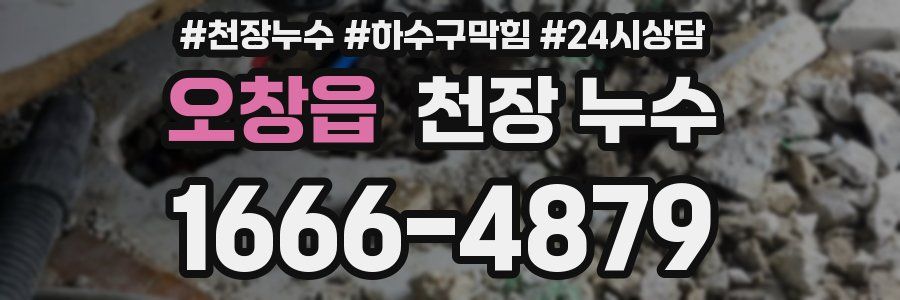 오창읍 천장 누수