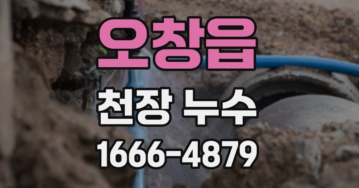 오창읍 천장 누수