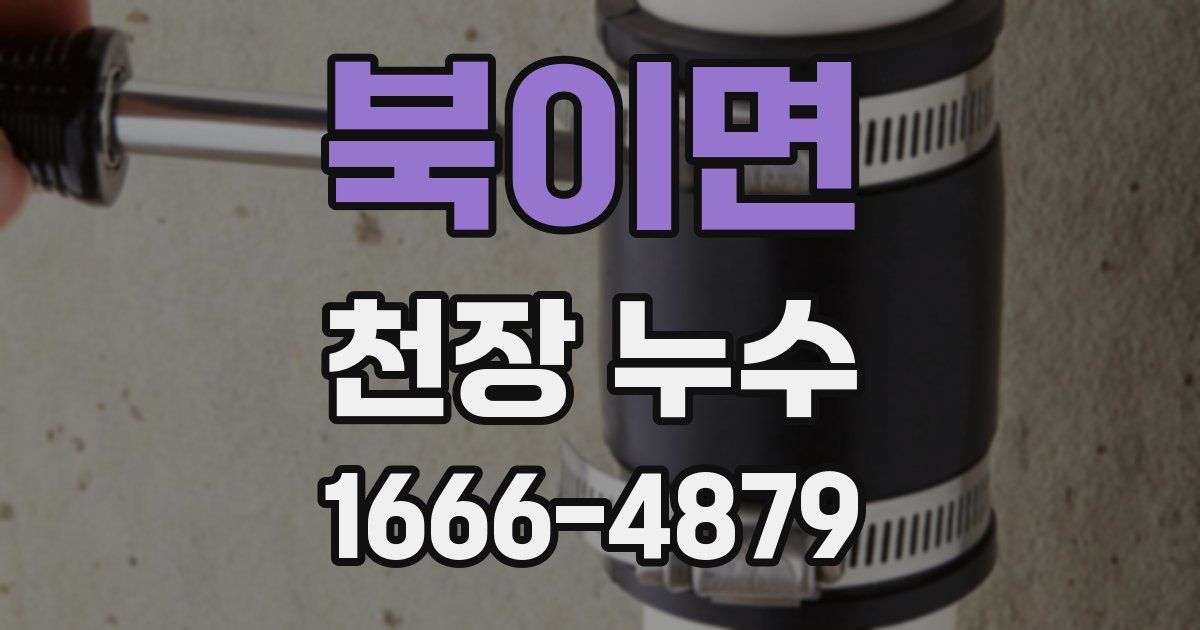 북이면 천장 누수