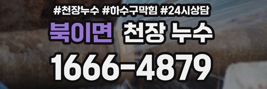 북이면 천장 누수