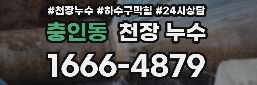 충인동 천장 누수