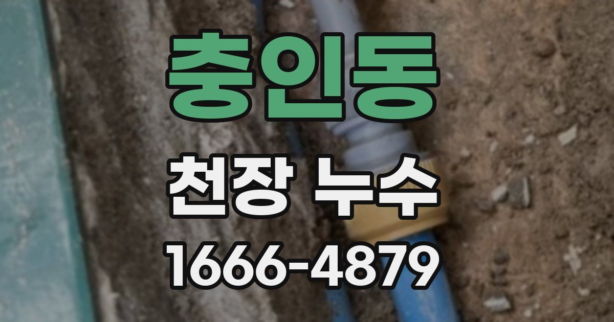 충인동 천장 누수