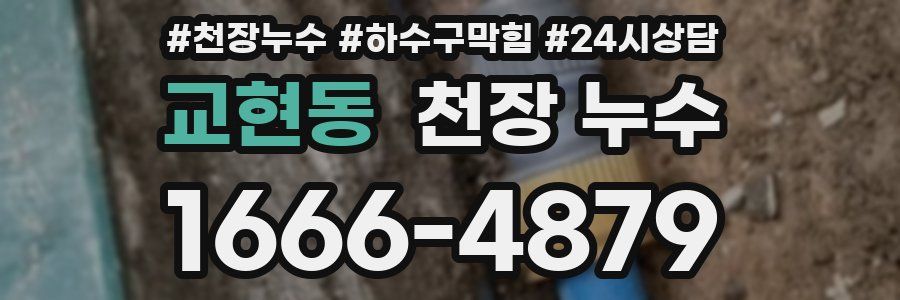 교현동 천장 누수