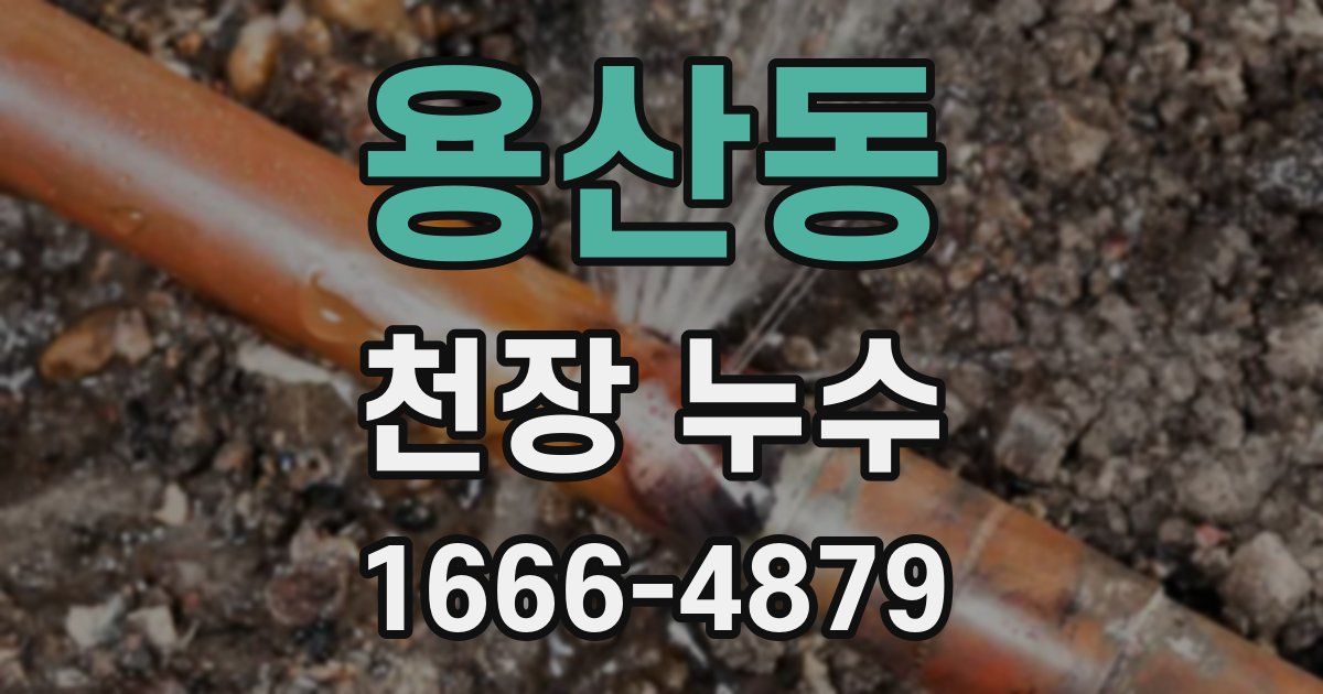 용산동 천장 누수