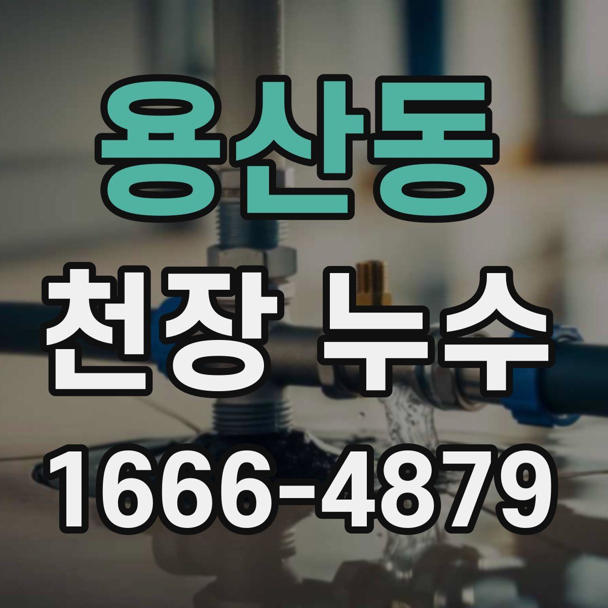 용산동 천장 누수