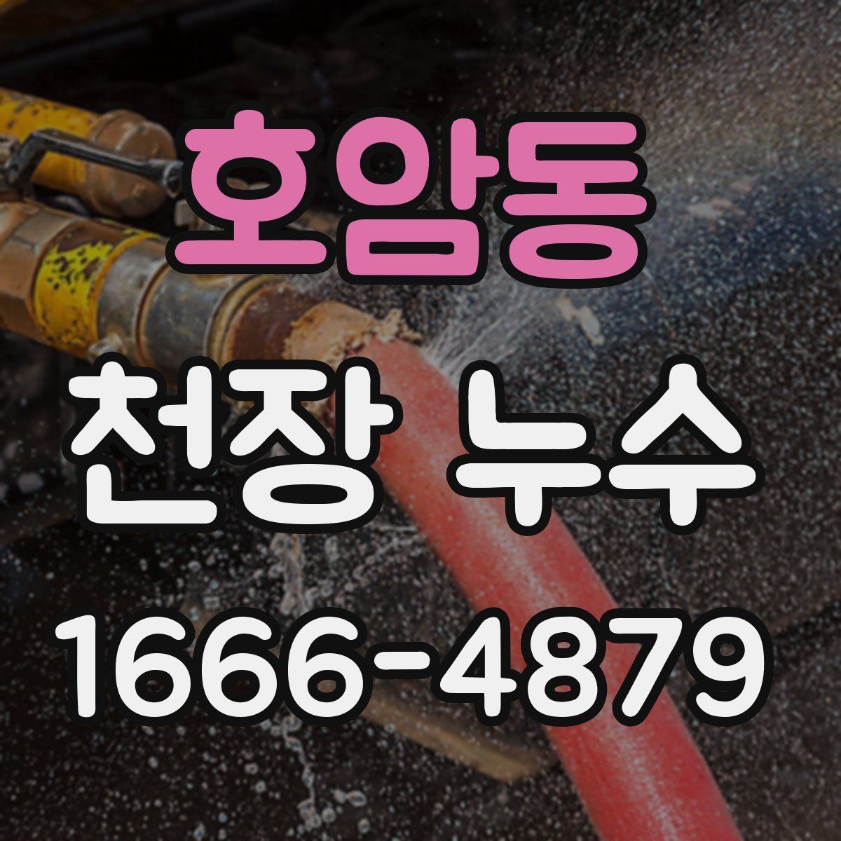 호암동 천장 누수