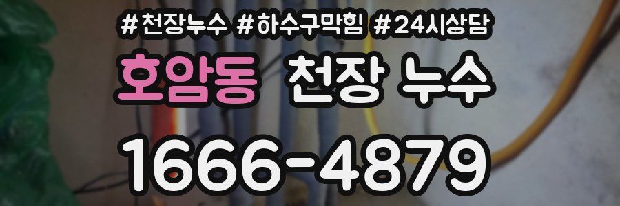 호암동 천장 누수