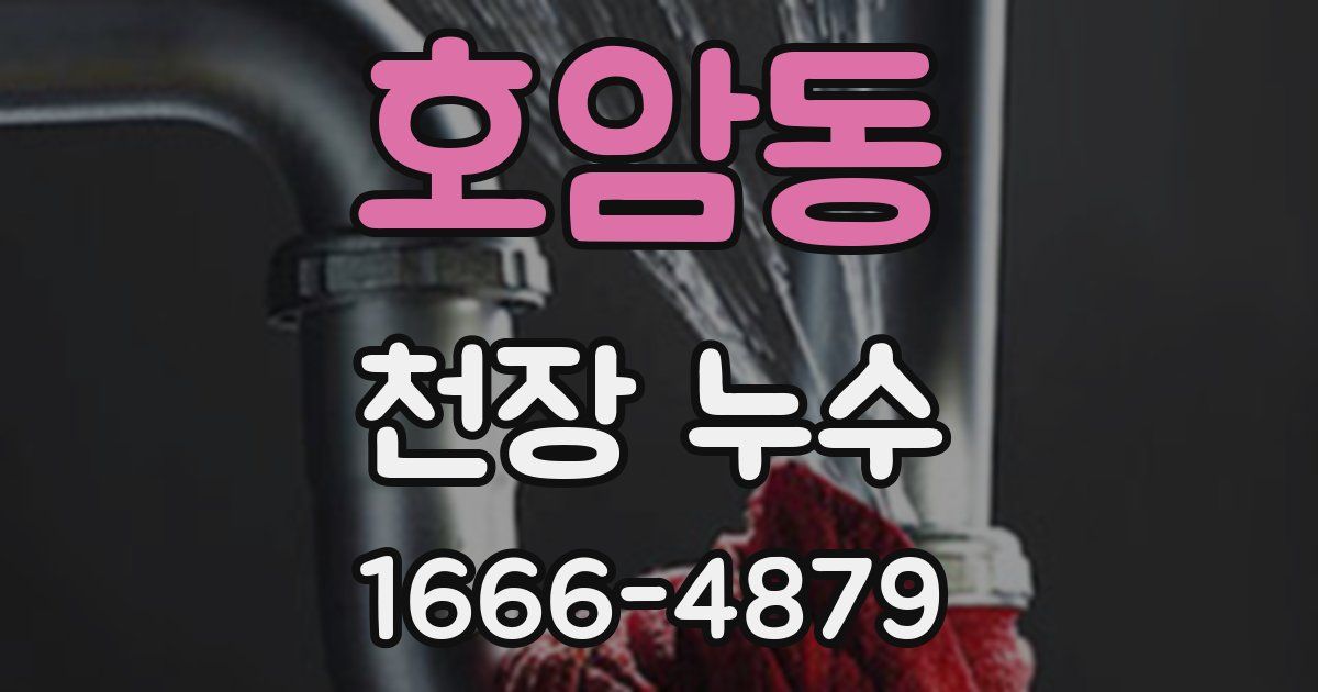 호암동 천장 누수