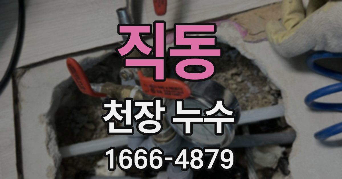 직동 천장 누수