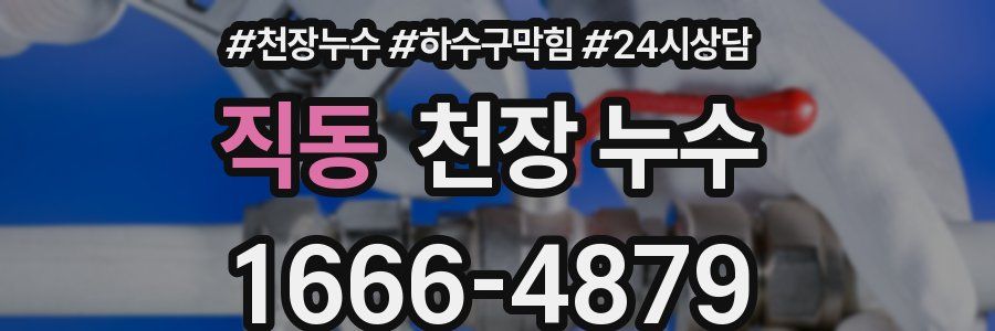 직동 천장 누수