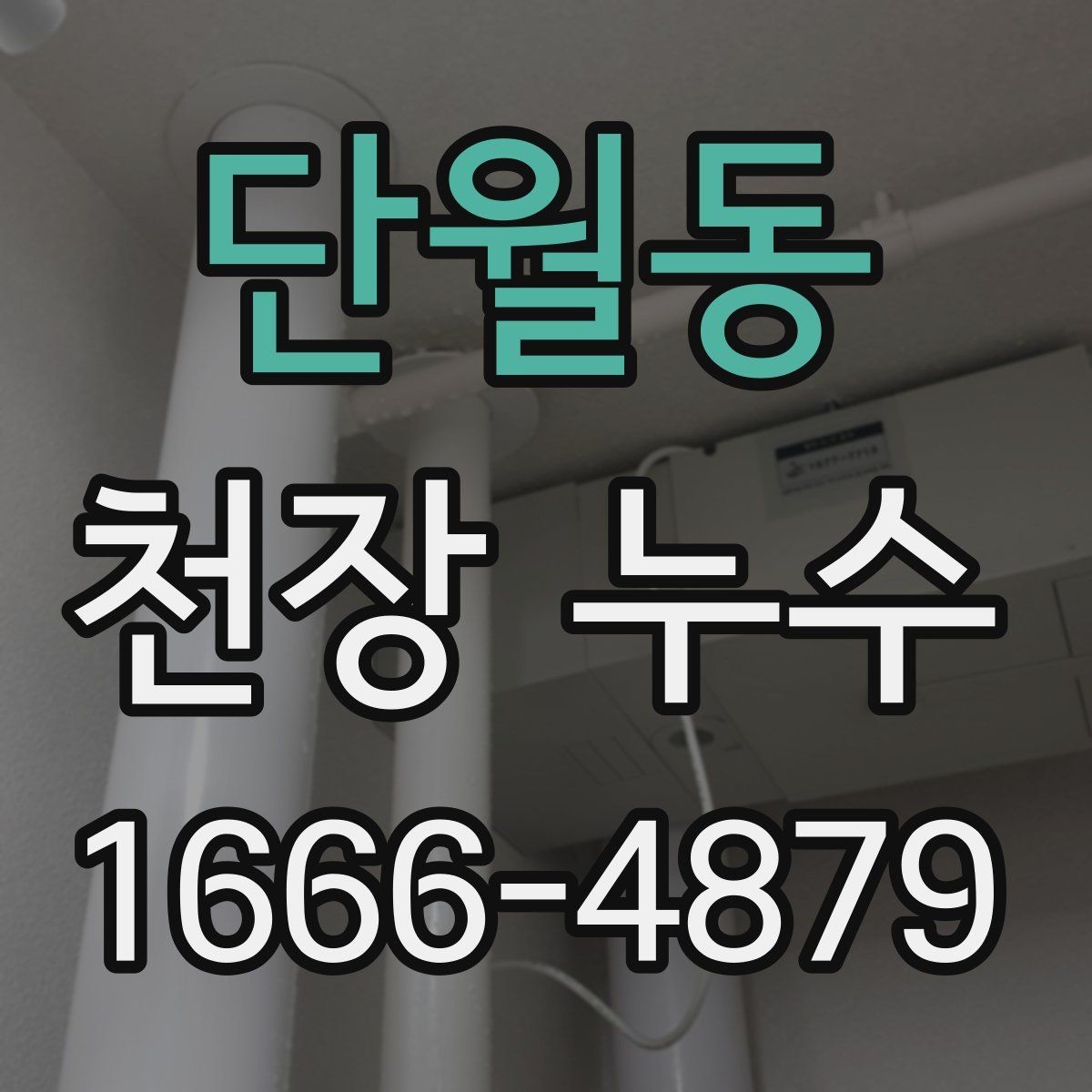 단월동 천장 누수 샹들리에·등 주변 물기 발견 시 대처법