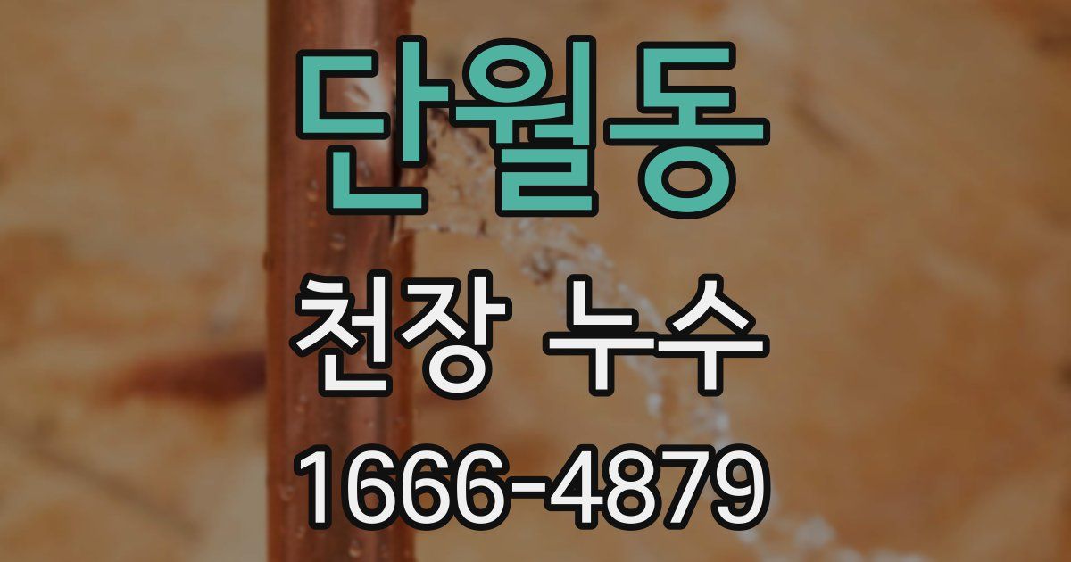 단월동 천장 누수