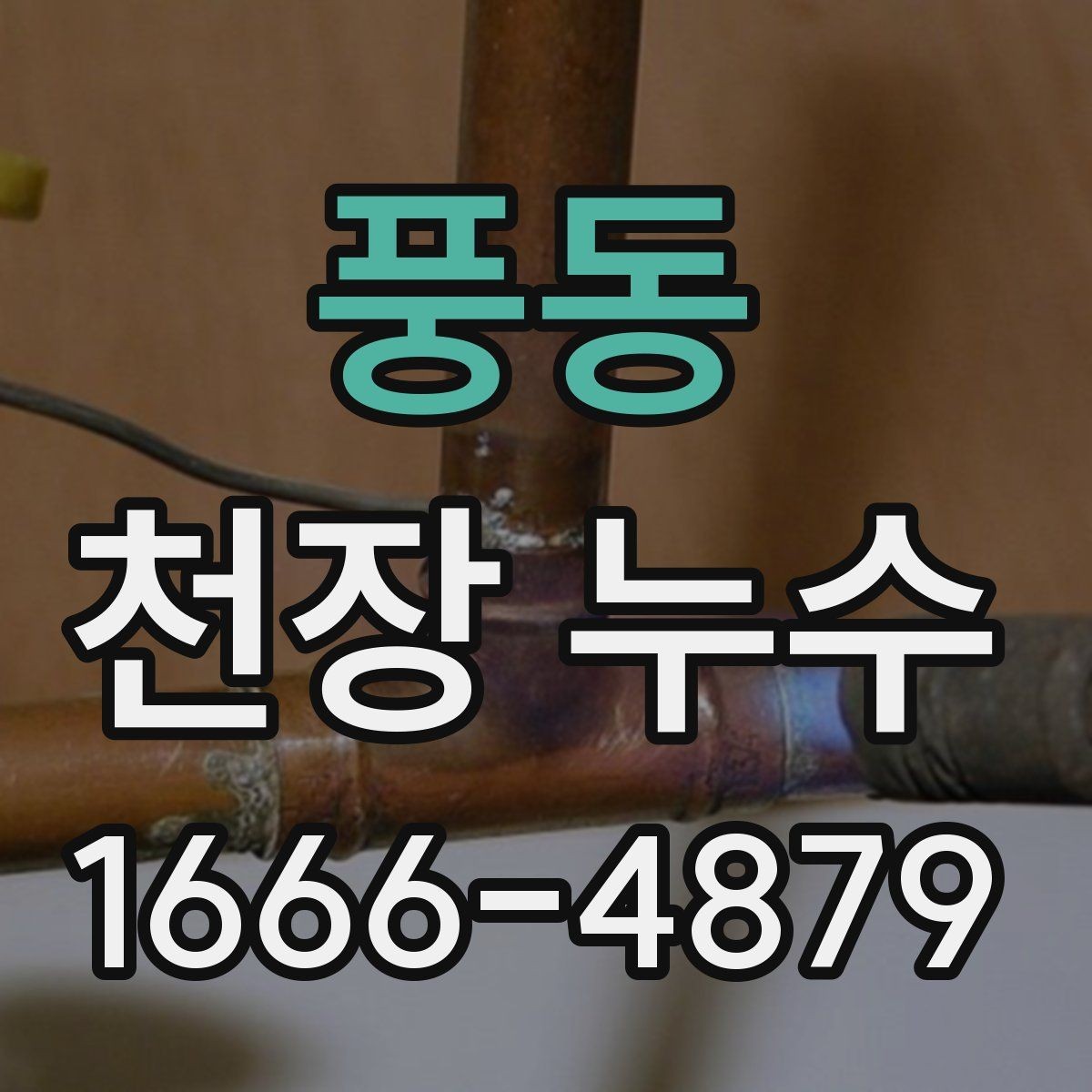 풍동 천장 누수 천장에 얼룩이 생겼을 때 체크리스트