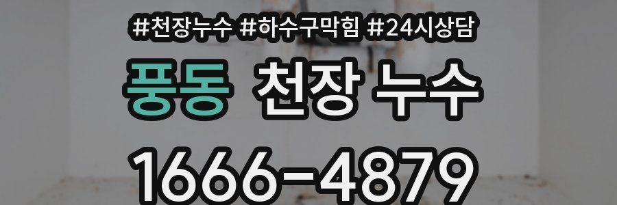 풍동 천장 누수