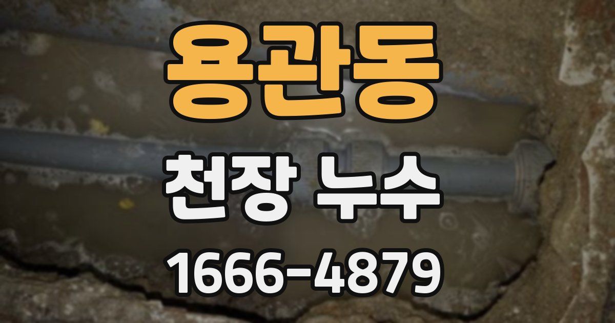 용관동 천장 누수