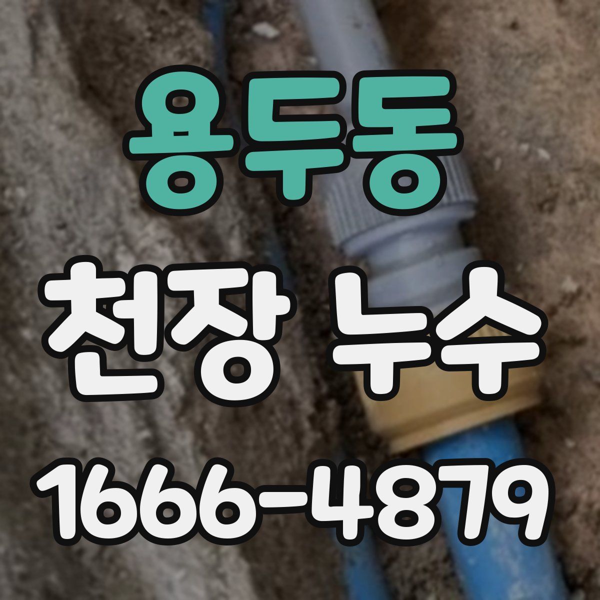 용두동 천장 누수