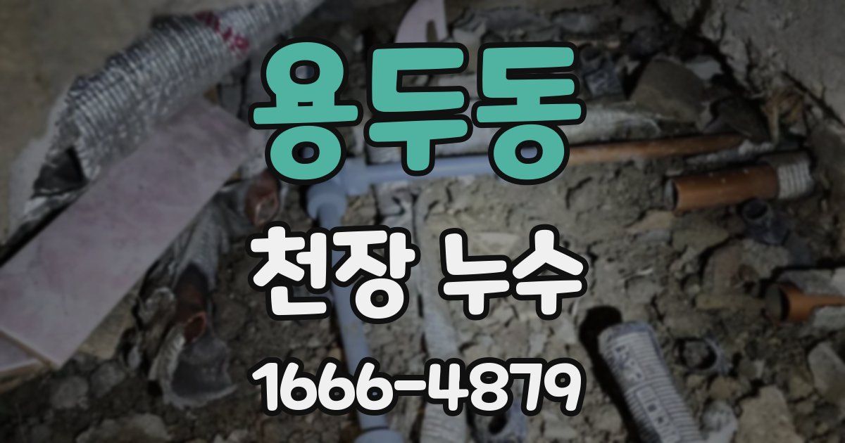 용두동 천장 누수