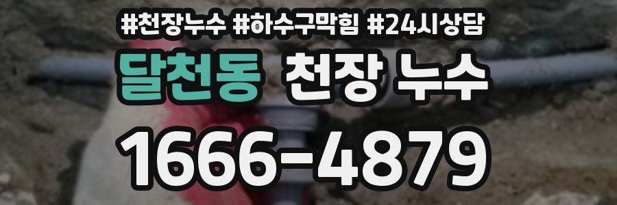 달천동 천장 누수